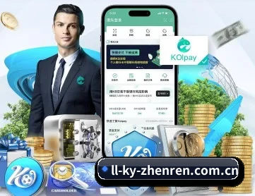 开云真人 APP 深度功能