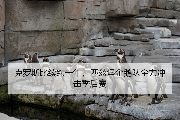ke-luo-si-bi-xu-yue-yi-nian-pi-zi-bao-qi-e-dui-quan-li-chong-ji-ji-hou-sai-2-125.jpg