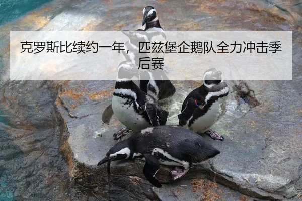 ke-luo-si-bi-xu-yue-yi-nian-pi-zi-bao-qi-e-dui-quan-li-chong-ji-ji-hou-sai-3-403.jpg