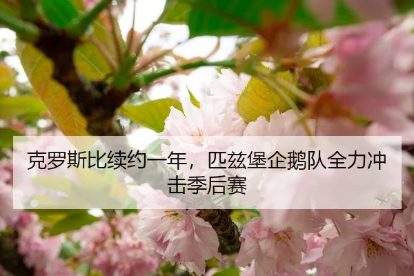 克罗斯比续约一年，匹兹堡企鹅队全力冲击季后赛