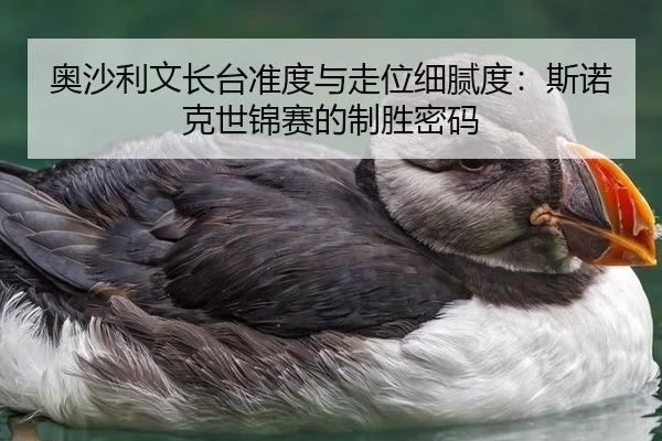 ao-sha-li-wen-zhang-tai-zhun-du-yu-zou-wei-xi-ni-du-si-nuo-ke-shi-jin-sai-de-zhi-sheng-mi-ma-2-228.jpg