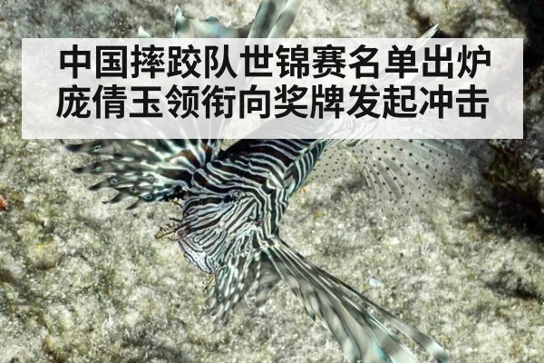 中国摔跤队世锦赛名单出炉 庞倩玉领衔向奖牌发起冲击